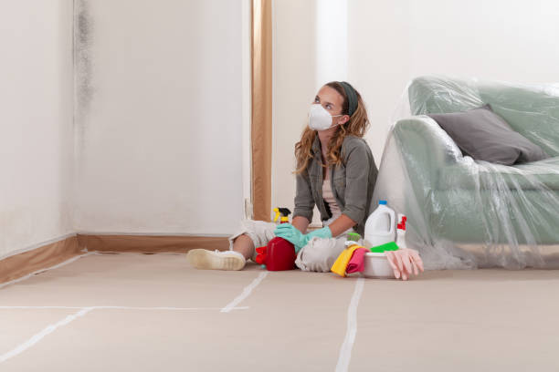 Reliable Mold Inspection contractor in Midland, WA by WQB Mold Removal